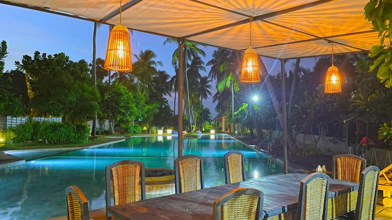 Resort Blue Whale Resort&kite Surfing 3*
