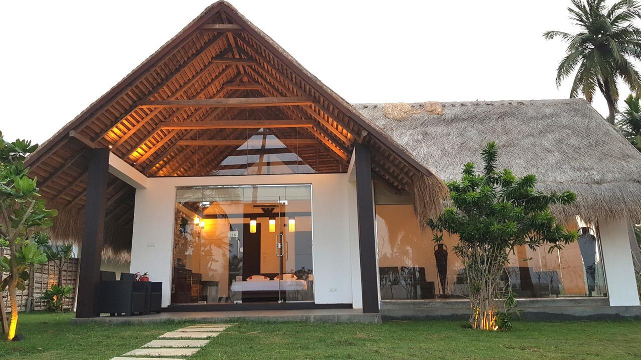 Blue Whale Resort&kite Surfing Resort 3*