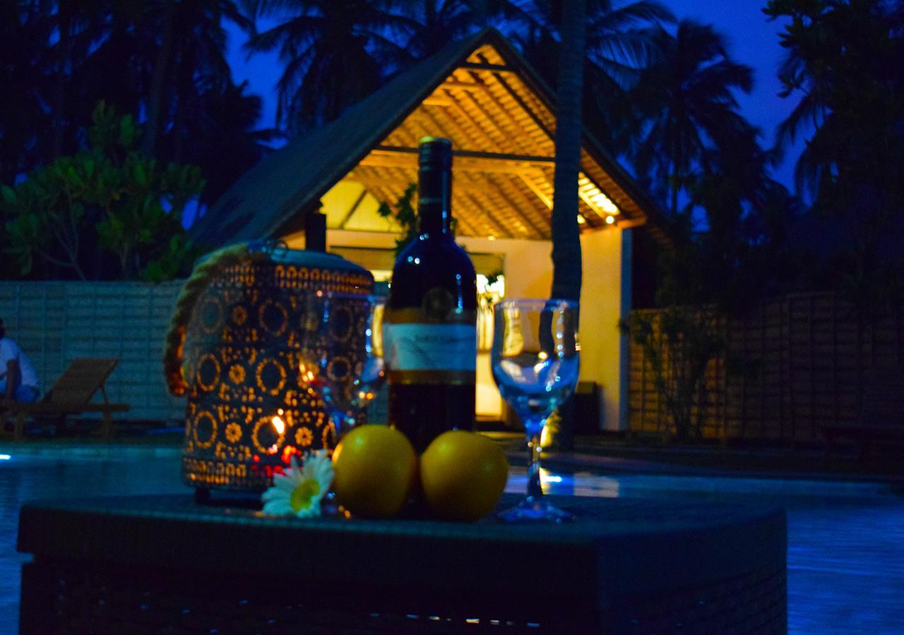 Blue Whale Resort&kite Surfing Kalpitiya