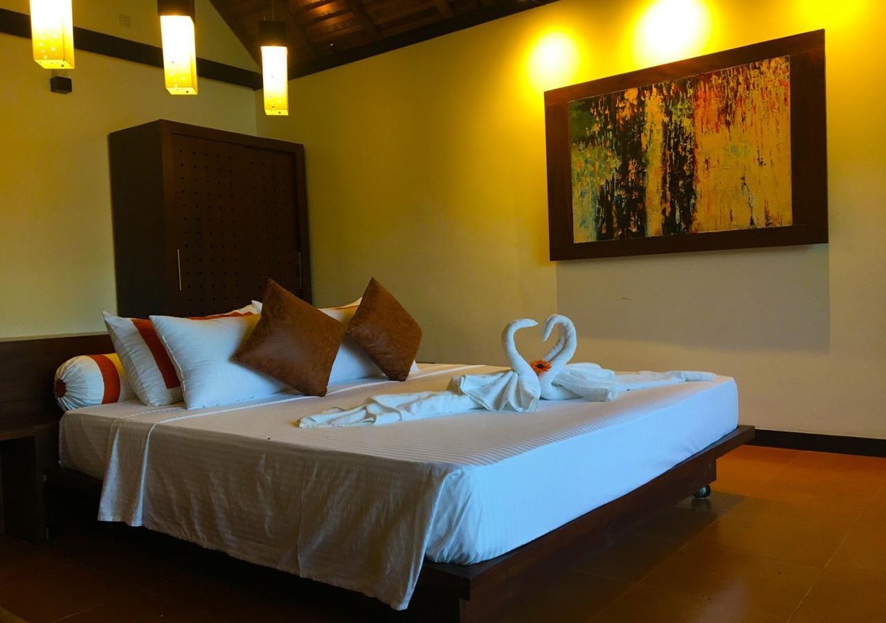 Blue Whale Resort&kite Surfing Kalpitiya