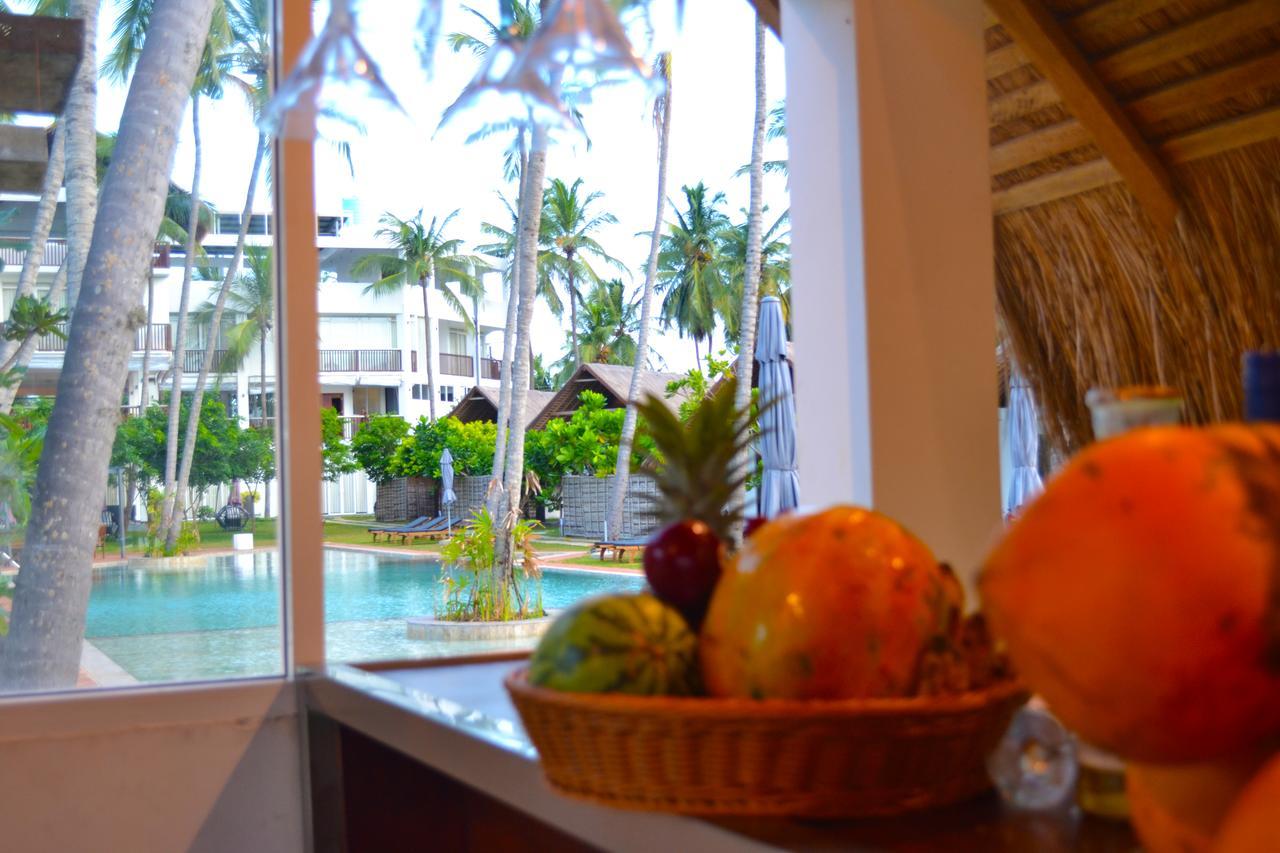 Blue Whale Resort&kite Surfing 3* Kalpitiya
