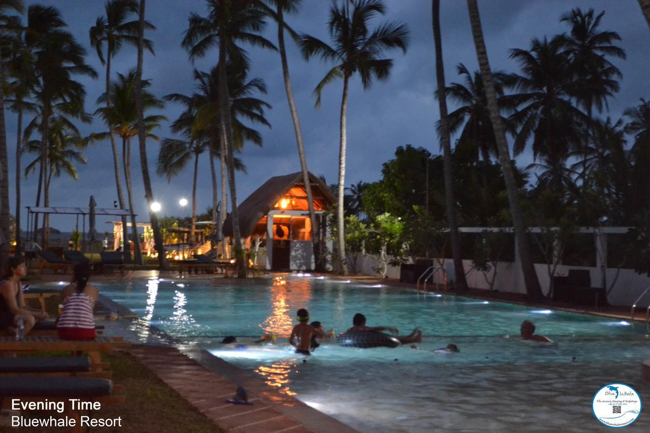 Resort Blue Whale Resort&kite Surfing 3*