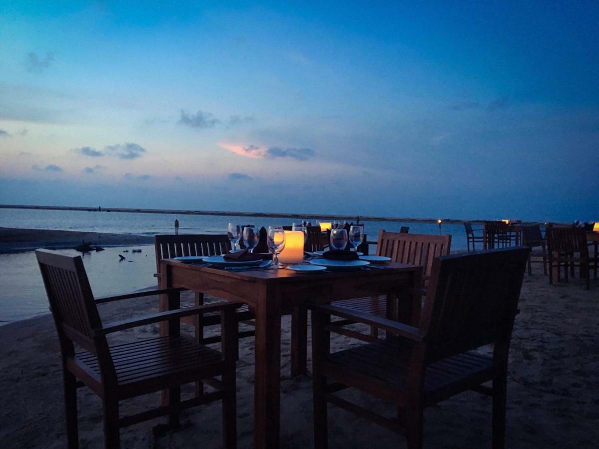 Blue Whale Resort&kite Surfing Kalpitiya