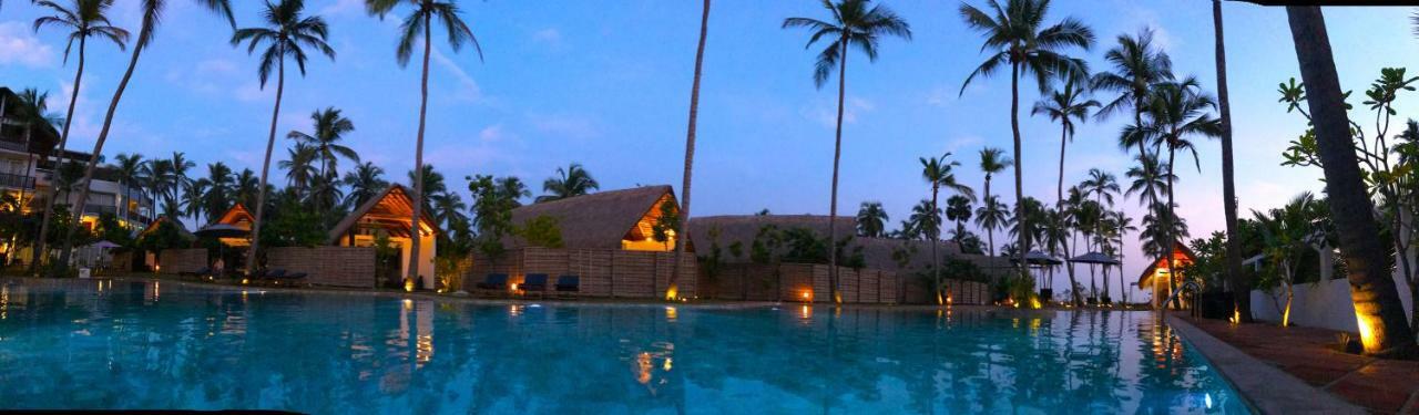 Resort Blue Whale Resort&kite Surfing