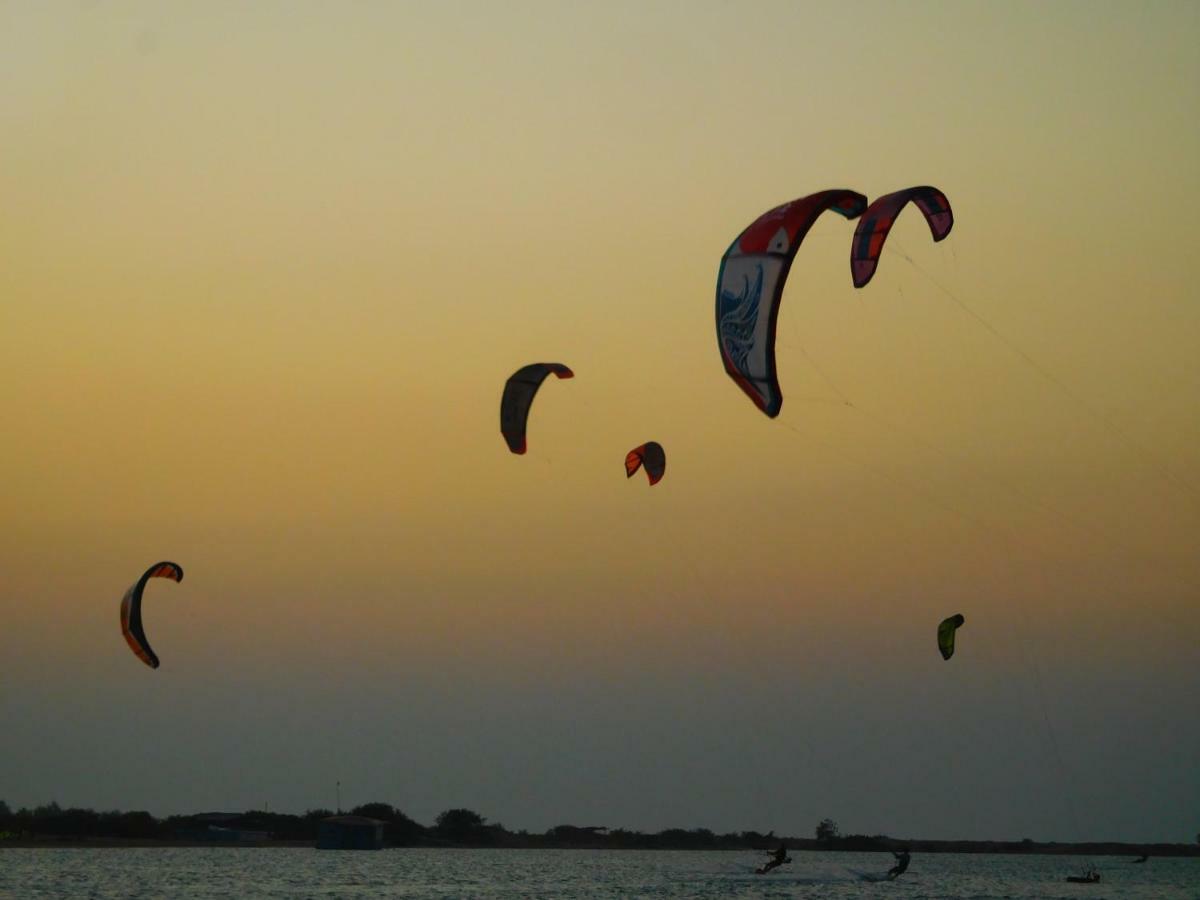 Resort Blue Whale Resort&kite Surfing Kalpitiya